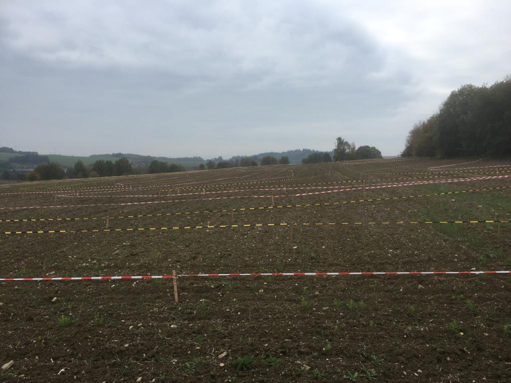 71145D27 5B08 4BEB 86FB B2AC672B1974